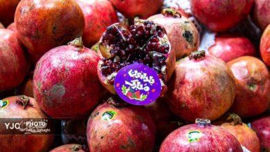 ژله انار شب یلدا