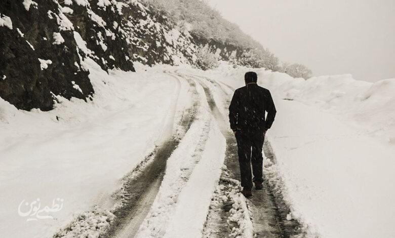 بارش برف / گیلان / زمستان / سرما