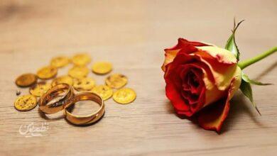 وزیر دادگستری: مهریه قرار نیست ۱۴ سکه شود