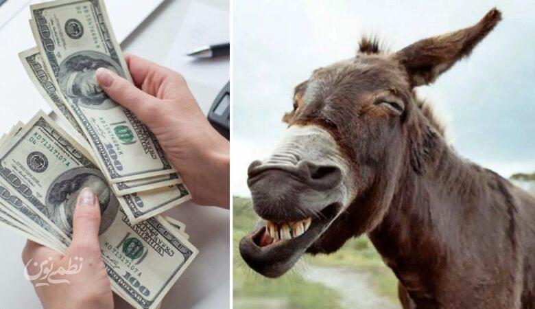 پهن الاغ گرانتر از دلار شد! + قیمت جدید