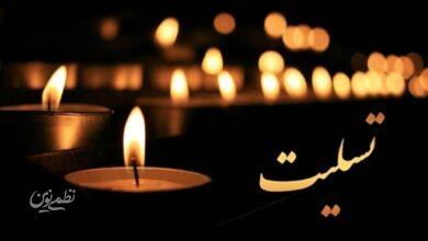 فوری؛ بازیگر معروف سریال وحشی در گذشت+ تصویر