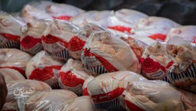 آغاز توزیع مرغ منجمد در تهران + قیمت