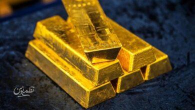 کولهپشتی طلایی لو رفت؛ پلیس ۲۵ قطعه شمش کشف کرد