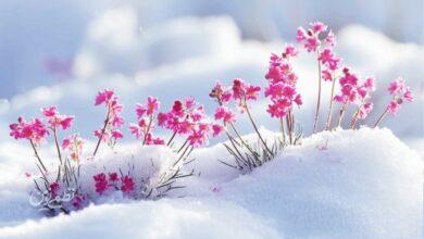 هشدار بارش سیلآسا و کولاک در این استان؛ فردا سردترین روز سال است