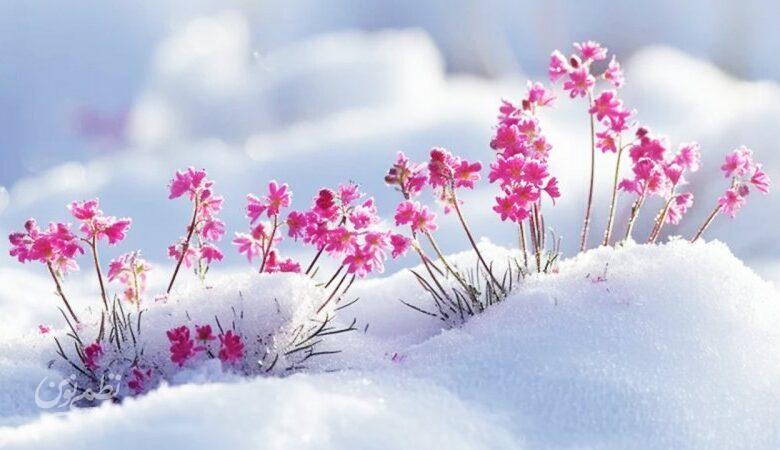 هشدار بارش سیلآسا و کولاک در این استان؛ فردا سردترین روز سال است