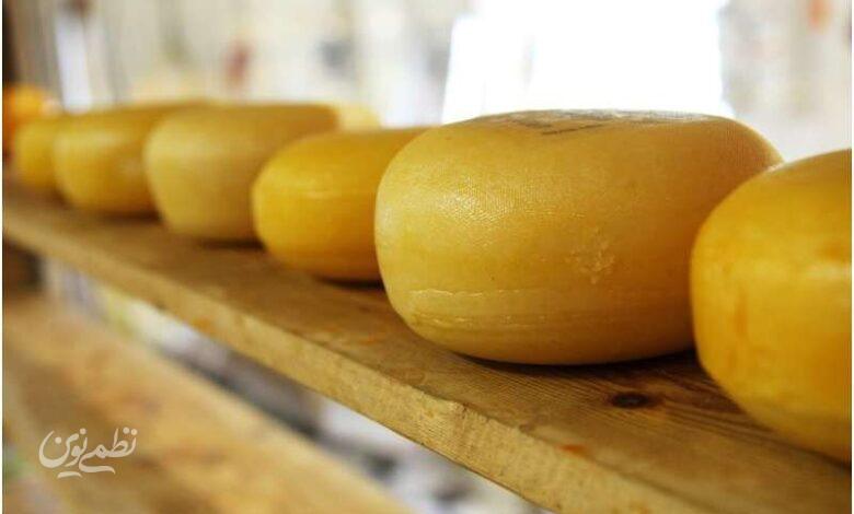 برای تقویت حافظه تا میتوانید این پنیر را بخورید