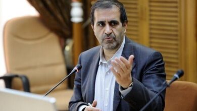 محمدرضا جوادییگانه