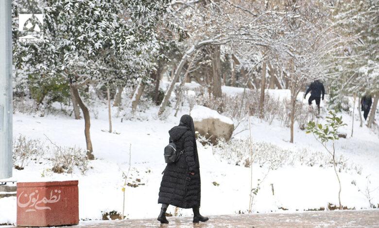 برف تهران