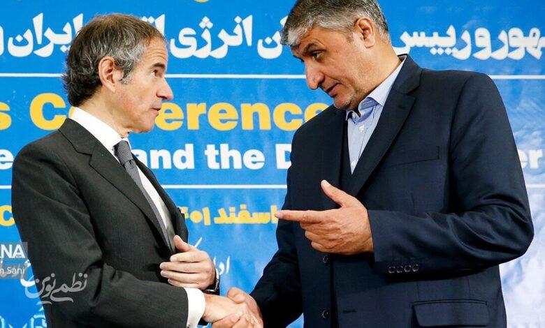 رافائل گروسی