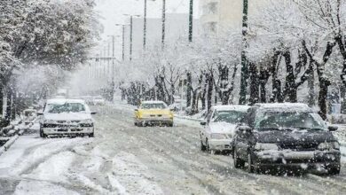 بارش برف - جاده