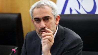 مدنی زاده- وزیر اقتصاد