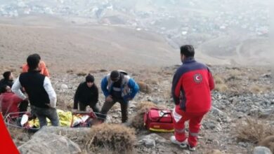 رضا امیر خانی حوادث