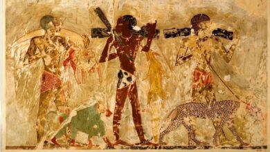 حیات وحش آفریقا