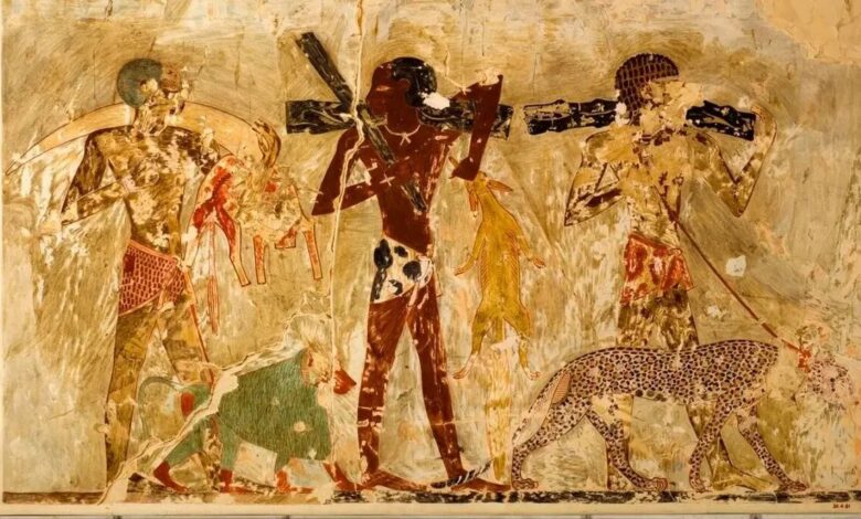 حیات وحش آفریقا