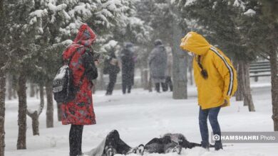 برف سامانه بارشی زمستان