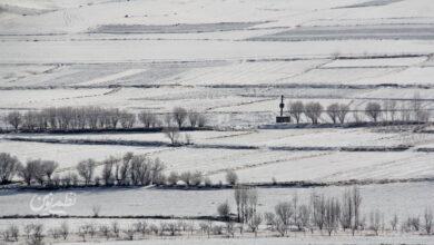 هواشناسی- بارش برف