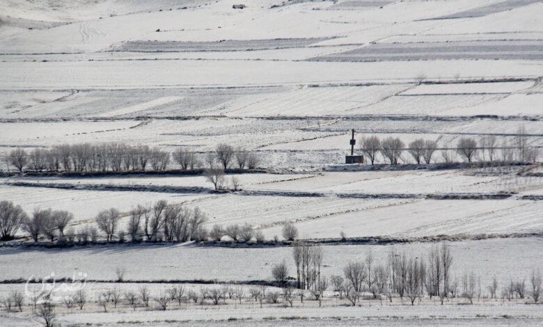 هواشناسی- بارش برف