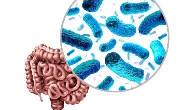 microbium