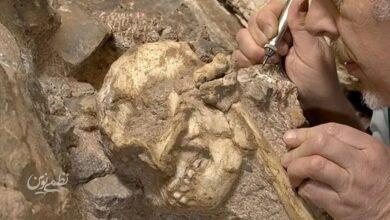 انسانتباران