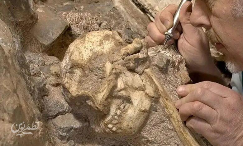 انسانتباران