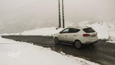 بارش برف / گیلان / زمستان / سرما