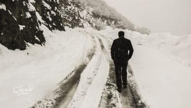 بارش برف / گیلان / زمستان / سرما