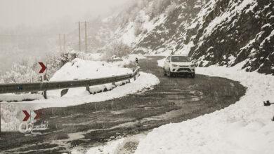 بارش برف / گیلان / زمستان / سرما
