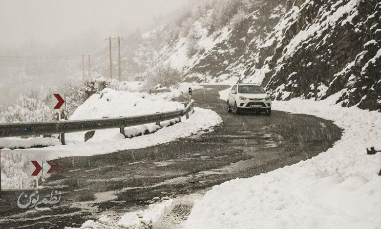 بارش برف / گیلان / زمستان / سرما