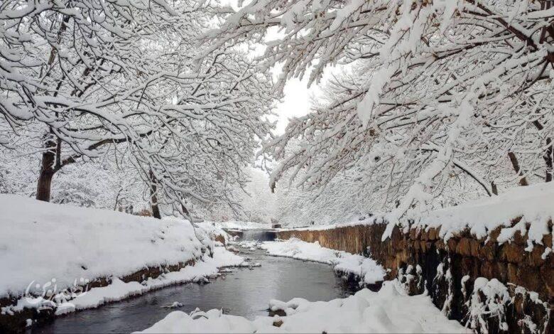 برف / زمستان / سرما