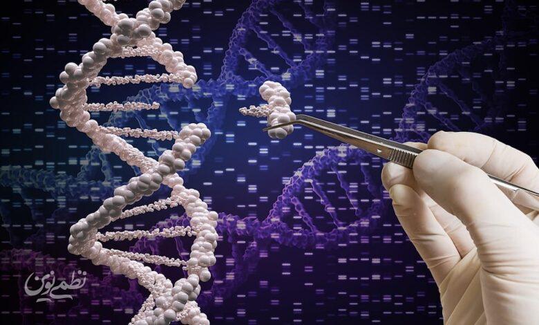 DNA