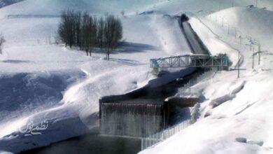 چشمه کوهرنگ