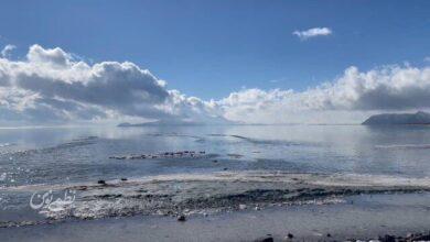 دریاچه ارومیه