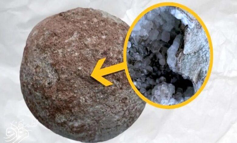 تخم دایناسور