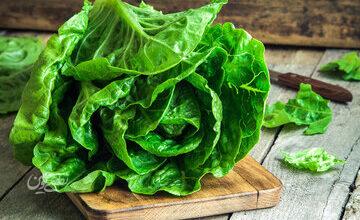 بالاخره چه قسمتی از کاهو نیترات بیشتری دارد؟/ آیا باید از نیترات کاهو ترسید؟/ این سبزی مشهورترین خوابآور طبیعی است