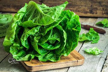 بالاخره چه قسمتی از کاهو نیترات بیشتری دارد؟/ آیا باید از نیترات کاهو ترسید؟/ این سبزی مشهورترین خوابآور طبیعی است