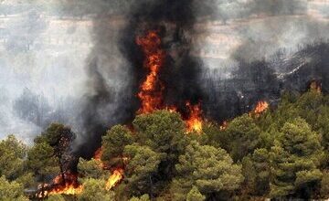 آتش سوزی جنگل الیت چگونه مهار شد؟/ خاموش کردن آتش با آتش