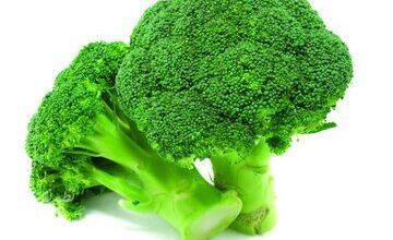 فواید و مضرات کلم بروکلی