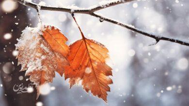 امروز چهارشنبه در این استانها برف می بارد؟ از شنبه سامانه بارشی در این منطقه فعال می شود