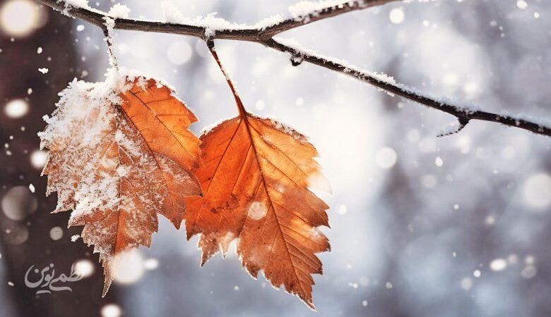 امروز چهارشنبه در این استانها برف می بارد؟ از شنبه سامانه بارشی در این منطقه فعال می شود