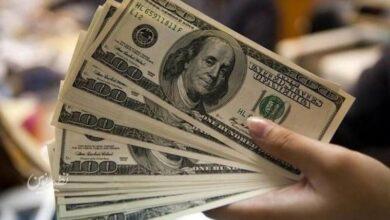آغاز عرضه اسکناس در بانکها/ خریداران ارز محتاط باشند