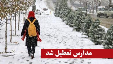بارش برف مدارس استان زنجان را تعطیل کرد