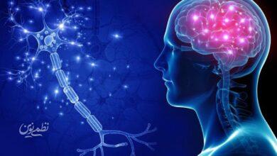 ۷ علامت هشداردهنده تومور مغزی که باد بدانید +اینفوگرافیک