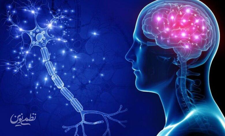 ۷ علامت هشداردهنده تومور مغزی که باد بدانید +اینفوگرافیک