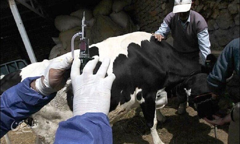 واکسن تب برفکی