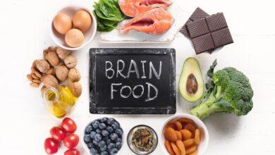brain