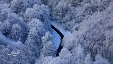 Screenshot 2026-01-17 at 18-08-04 برف در سوادکوه.webp (WEBP Image 1000 × 667 pixels) — Scaled (96%).png