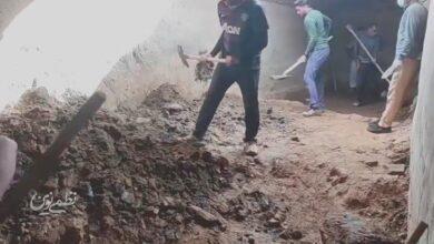 مرمت حوض دربیدی