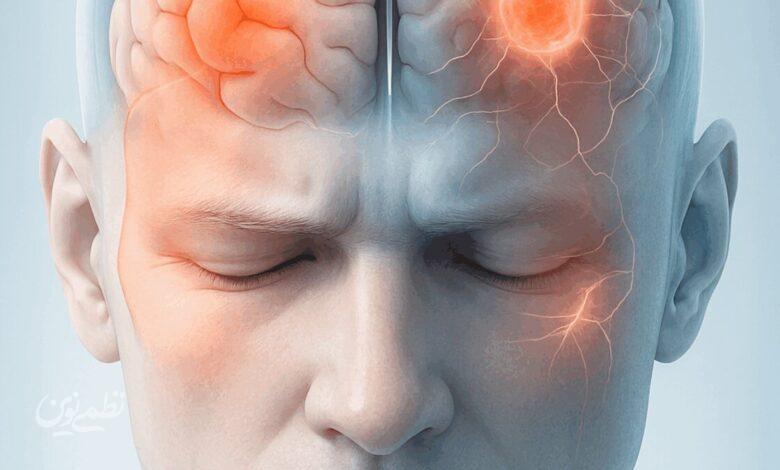 brain