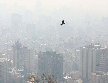 اختلاف دادههای داخلی و جهانی درباره آلودگی هوای تهران/ علت چیست؟