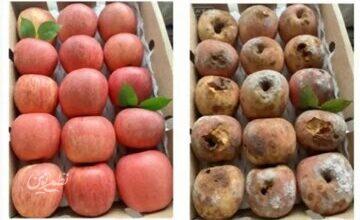 ضررهای میلیاردی فروشگاههای آنلاین چین/ ماجرا چیست؟